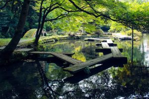 Jardins de Kanazawa
