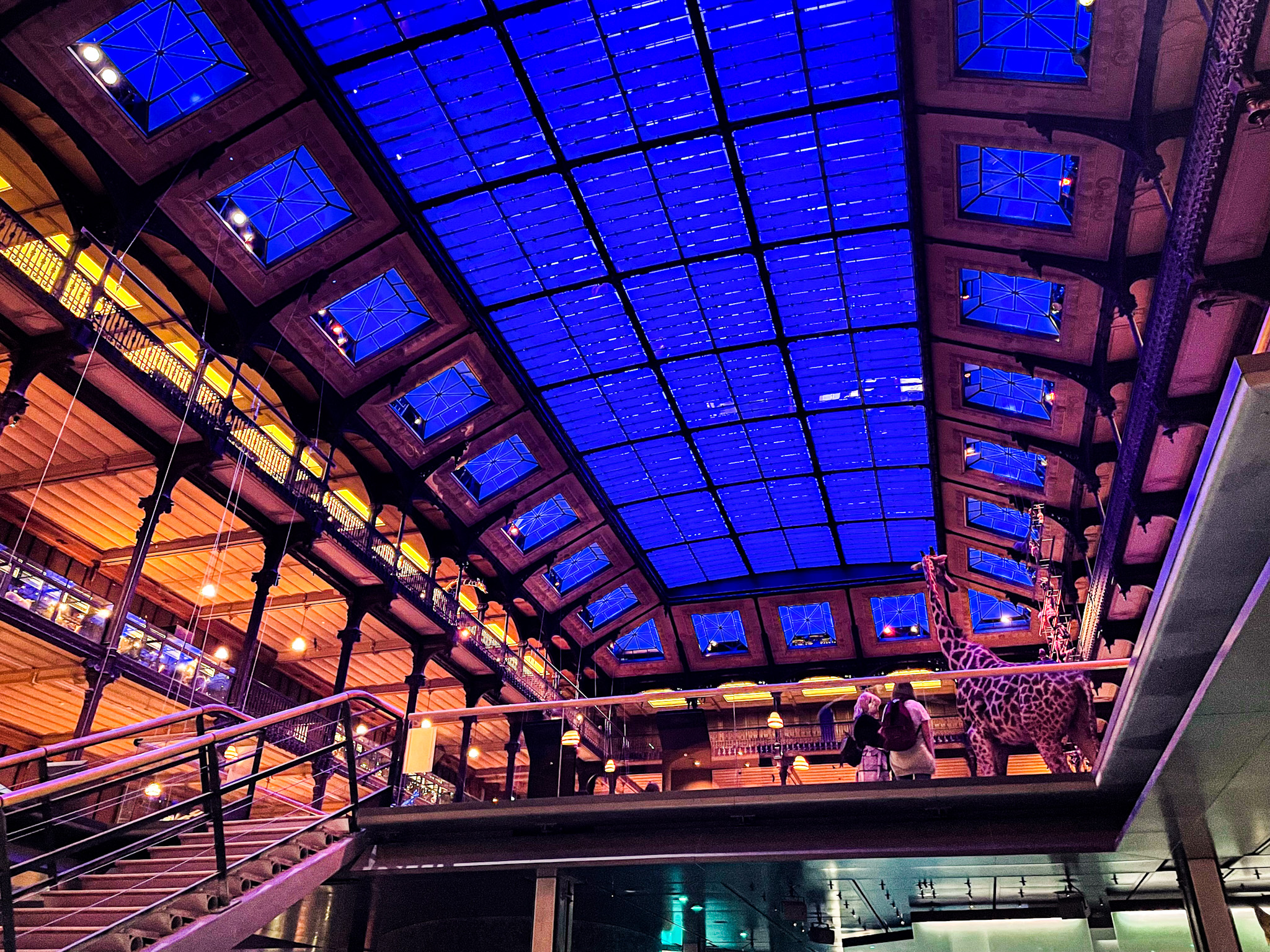 Grande Galerie de l’Évolution au Jardin des plantes de Paris